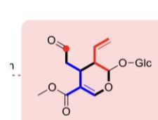 Pharma Bio Hs Isoprenoide Flashcards Quizlet