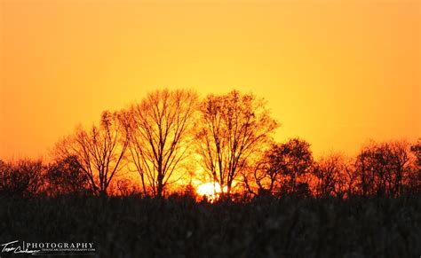 Travis Carlson Photography: Blog: 11/18/09 Autumn Sunsets & Harvest/Hunter's Moon