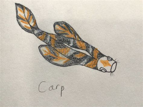 Carp By Berryflame12 On Deviantart