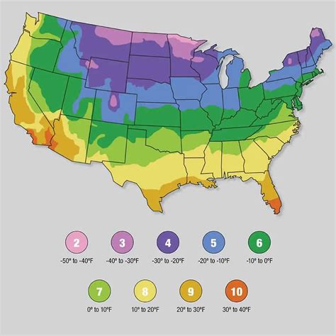 Plant Growing Zones Map Usa | Sexiz Pix