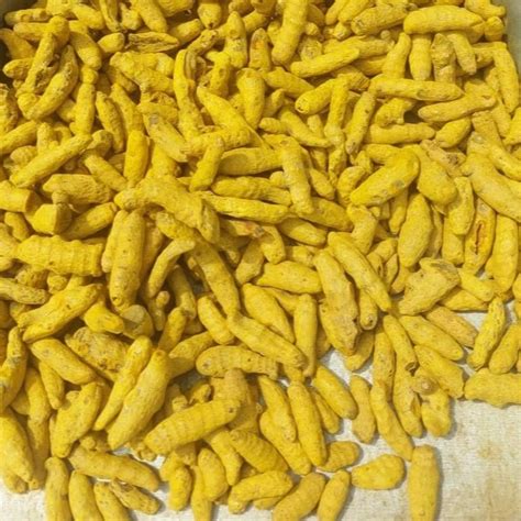 Salem Single Polished Turmeric Finger At Rs 196 Kg Turmeric Finger In