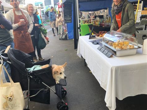 Taranaki Foodies On The Most | You can’t argue that Mattie Pâtisserie