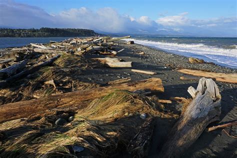 Dungeness National Wildlife Refuge Dungeness Spit At Dunge Flickr