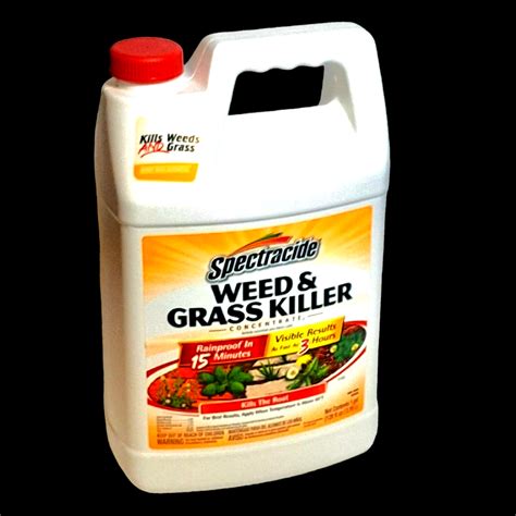 Spectracide Weed And Grass Killer Concentrate 1 Gallon Use On Patios