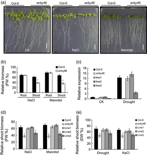 Transcription Factor Wrky46 Regulates Osmotic Stress Responses And Stomatal Movement