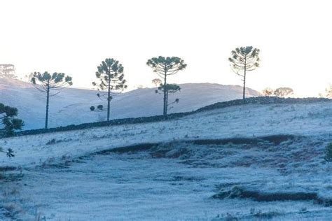 Onda De Frio E Geadas Atingem Parte Do Pa S No Fim De Semana Veja Como