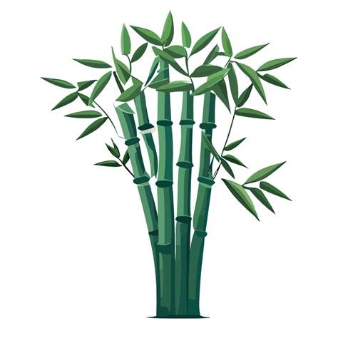 Bamboo Tree Png Clipart Transparent Background Free Png