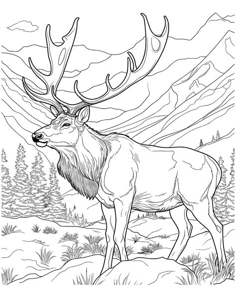 Deer Hunting Coloring Pages