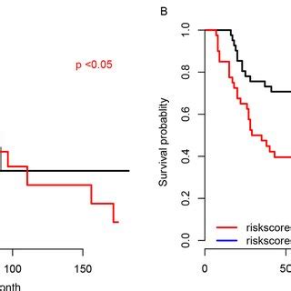 The survival rate of patients with radiation therapy. The survival of ...