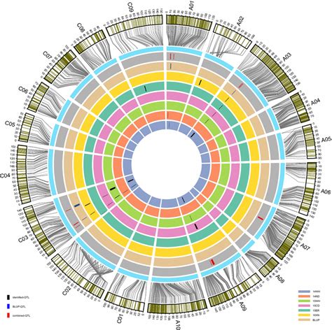 Distribution Of Snps On The Linkage Map And The Qtl Information Of