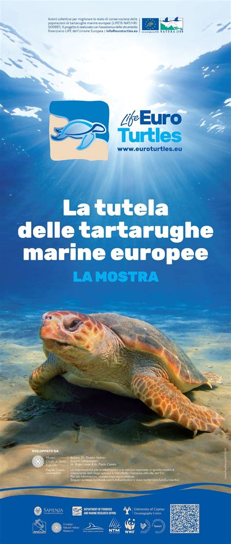 LA TUTELA DELLE TARTARUGHE MARINE EUROPEE Comunita Degli Italiani