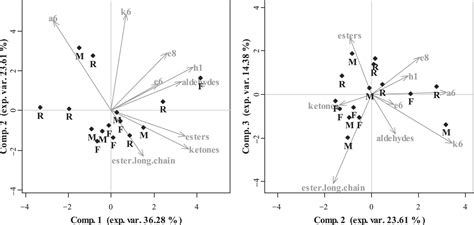 Derivatized Volatile Organic Compound Characterization Of Friulano Wine From Collio Italy