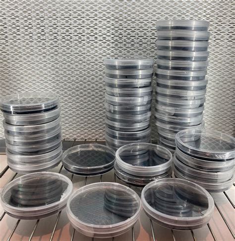 Pre Poured Mea Agar Petri Dishes With Organic Activated Charcoal Etsy Uk