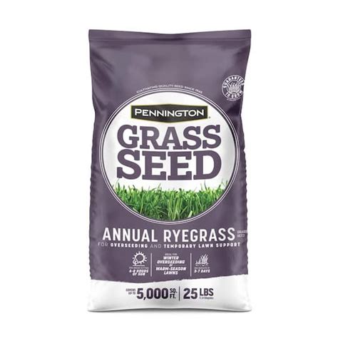 Pennington 25 Lb Annual Ryegrass Grass Seed 100082633 The Home Depot