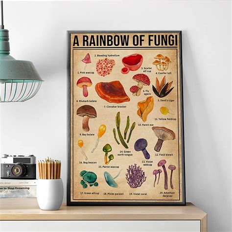 Amazon A Rainbow Of Fungi Mushroom Botanical Vintage Metal Tin