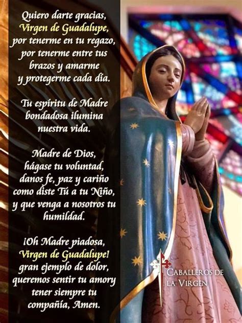 Palabras De Agradecimiento A La Virgen De Guadalupe La Luz De La