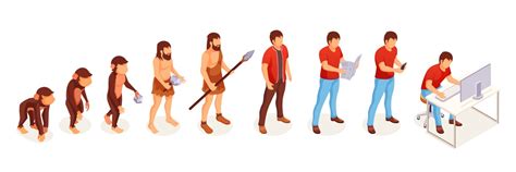 Biology Human Evolution Stages Evolutionary Vector Image