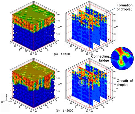 Entropy Free Full Text Three Dimensional Lattice Boltzmann