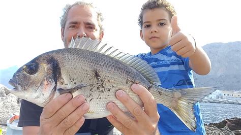 Bellissima Orata Di 1 2 Kg A Rockfishing Pesca A Fondo In Porto Su