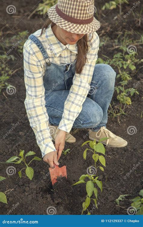 Woman In The Garden Makes Planting Seeds Stock Image Image Of Hobbies