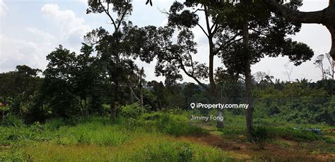 Agriculture Land Kuala Sawah Seremban Agricultural Land For Sale