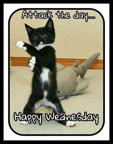 Happy Wednesday Funny Wednesday Memes