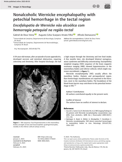 nonalcoholic wernicke encephalopathy  petechial hemorrhage