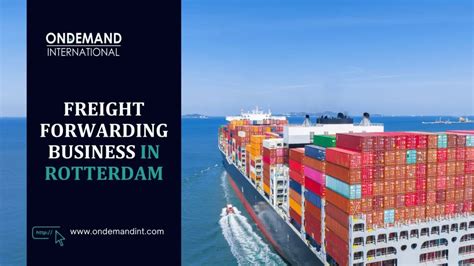 Register A Freight Forwarding Business In Rotterdam In 2024 Procedure