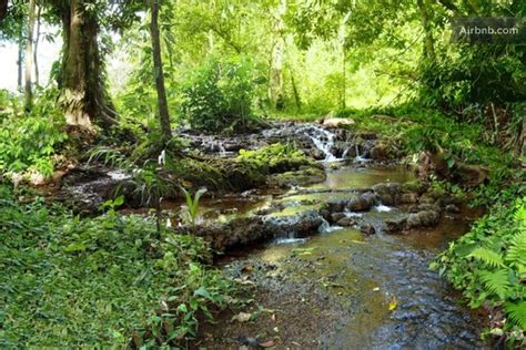 Rainforest Casita With Hot Springs In Aguas Zarcas