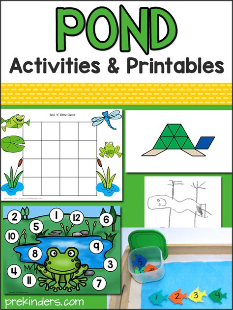 Pond Life Theme Prekinders Preschool Activities