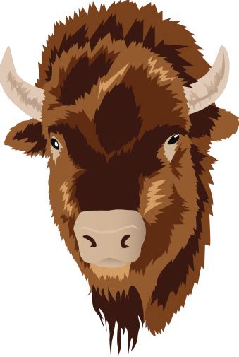 Bison Head Stock Illustration Download Image Now Istock