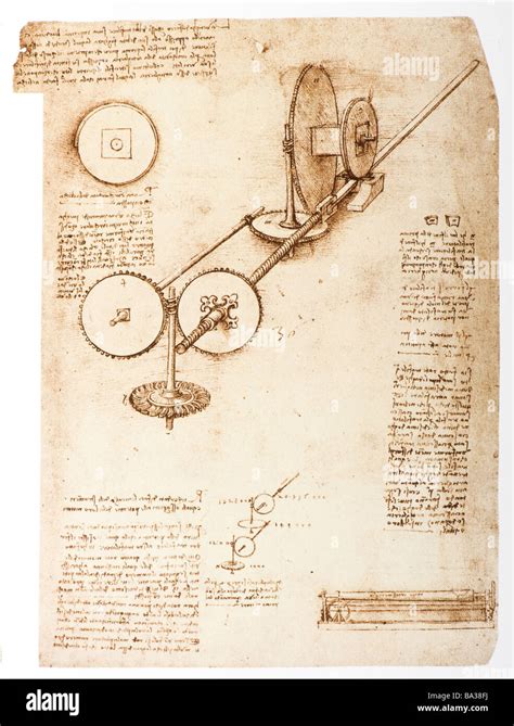 Leonardo Da Vinci Sketch