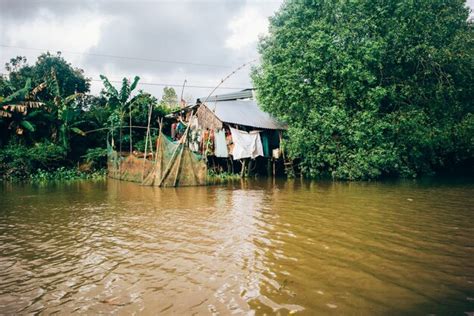 Río mekong, vietnam | Foto Premium