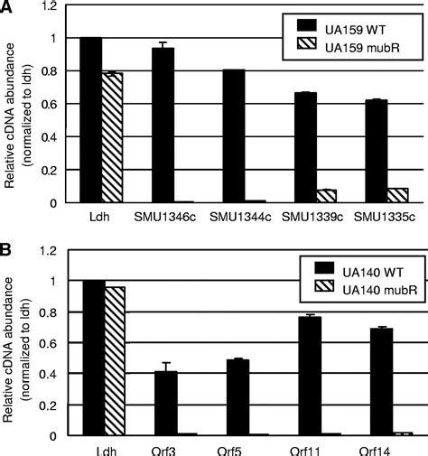 Genomic Island Tnsmu2 Of Streptococcus Mutans Harbors A Nonribosomal