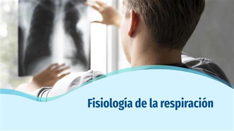 Sistema Respiratorio Respiraci N Medicina Udocz