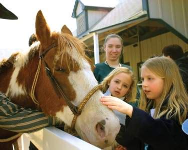 Top Free Attractions for Little Kids in Lexington Kentucky