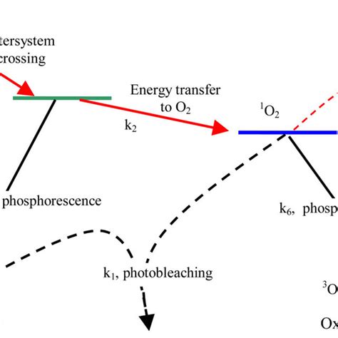 (PDF) Comparison of singlet oxygen threshold dose for PDT