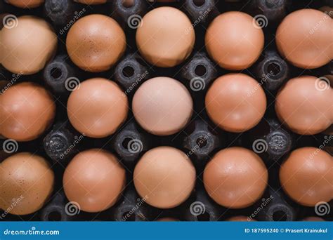 Ovos De Galinha Crus Na Caixa De Ovo Em Papel Foto De Stock Imagem De