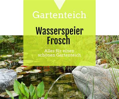 Wasserspeier Frosch Gartenteich Guide De