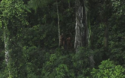 Uncontacted Amazon tribes