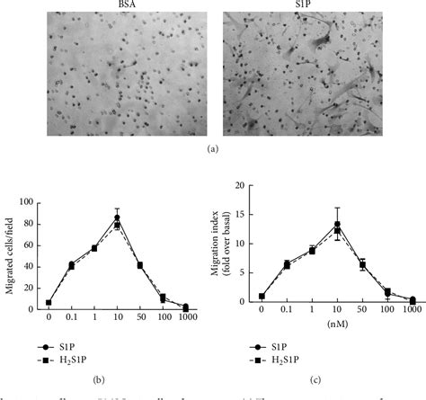 Figure 2 From Sphingosine 1 Phosphate S1P Receptors Signaling Modulates