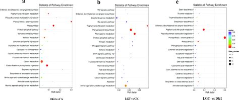 Functional Classification And Pathway Assignment Of Unigenes By KEGG