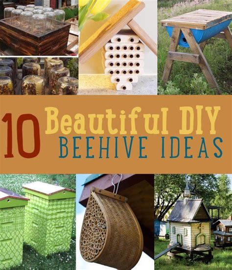 10 Bee-utiful Beehive DIY Projects | Bee keeping, Bee hive, Bee hives diy