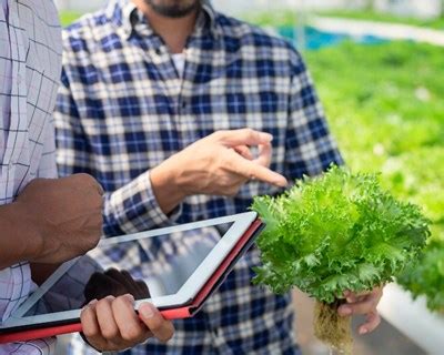 Groho Hidroponia Lan A Curso Intensivo De Hidroponia Agrotec Pt