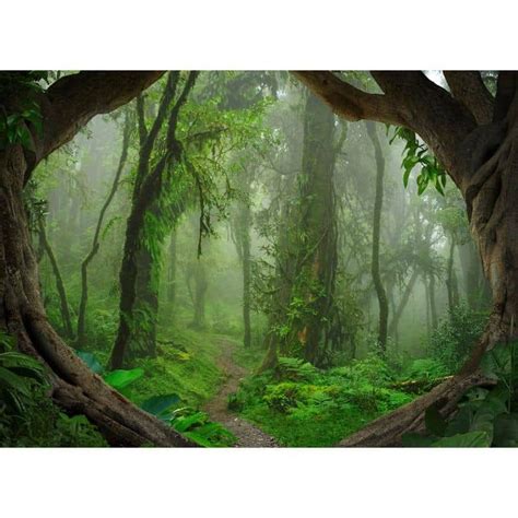 Livingwalls Fotobehang Designwalls Tropical Forest Wall Art Nl