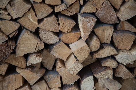 Stacked Firewood Free Stock Photo - Public Domain Pictures