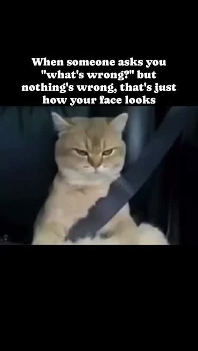 whats wrong meme  giantslordhurdle memedroid