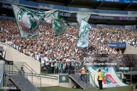 Fans Of Palmeiras Photos and Premium High Res Pictures - Getty Images