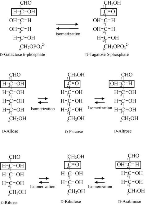 Schematic Representation Of Isomerization Reactions Catalyzed By