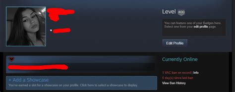 STEAM LVL VAC BANNED R VAC Porn